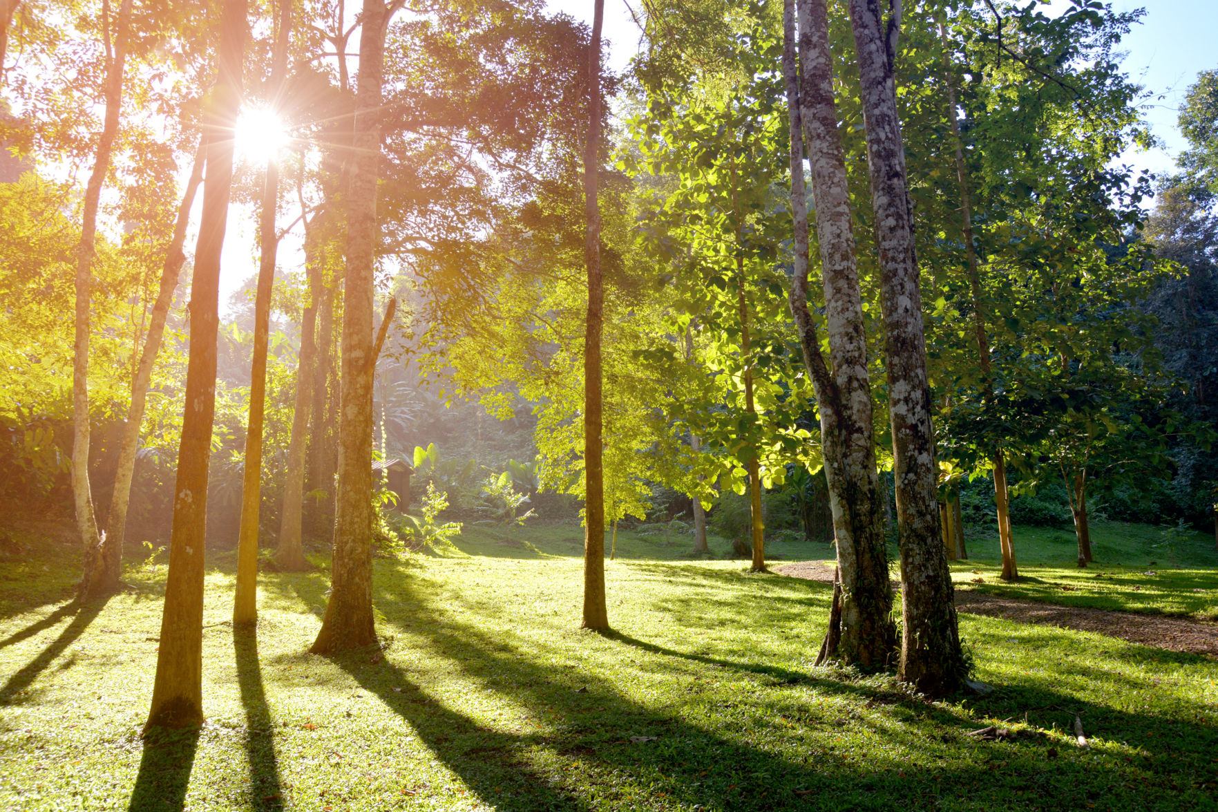 Pay attention to sun exposure